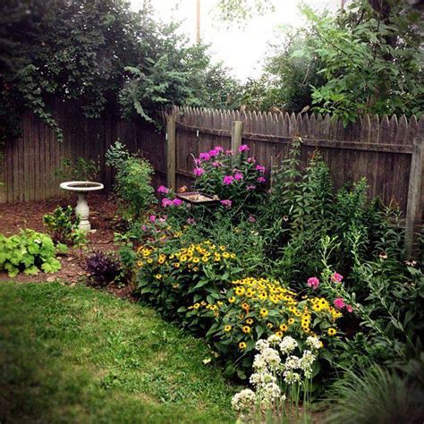 Kentucky Garden Flowers .